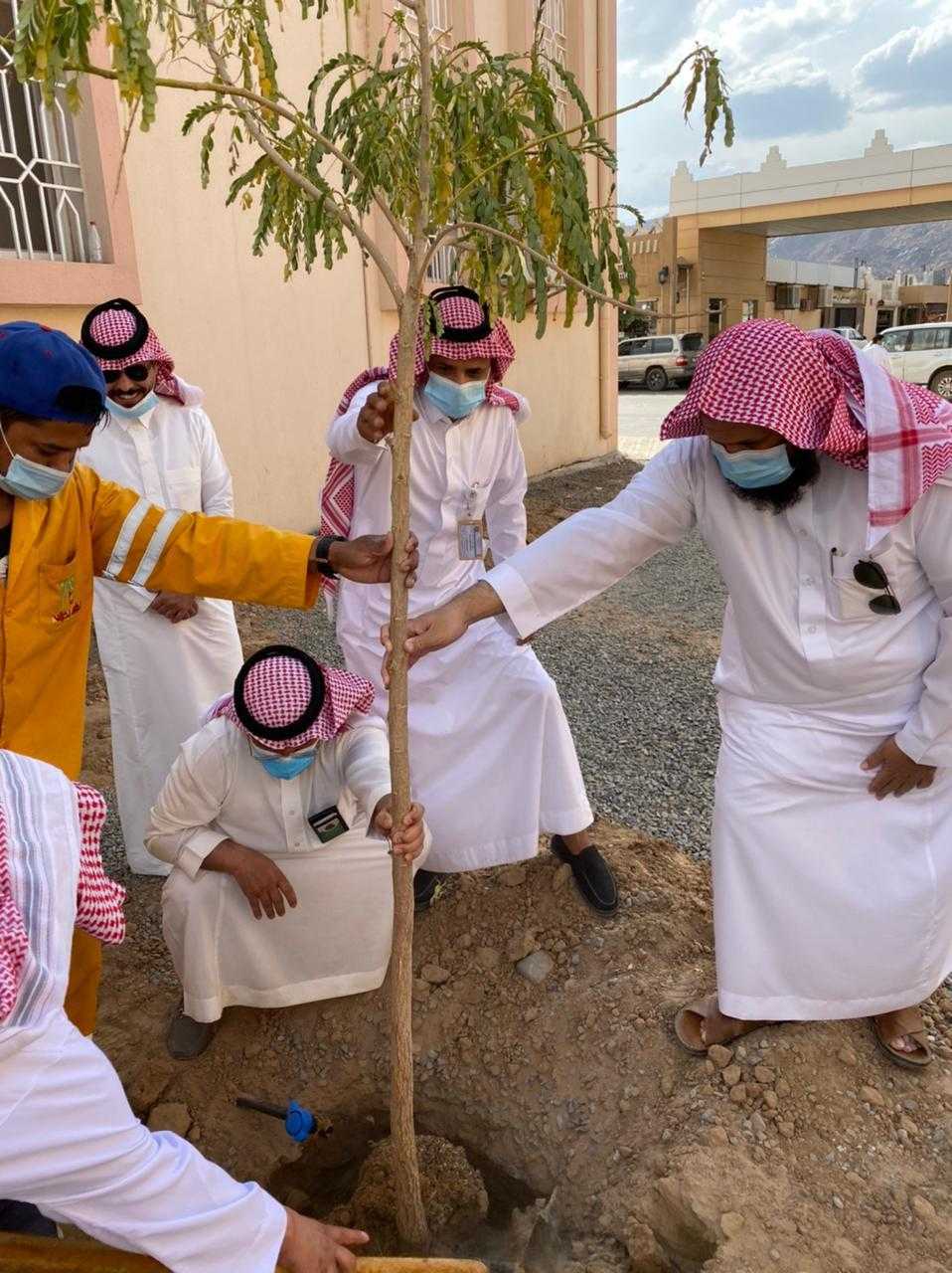 تنزيل (1).jpg